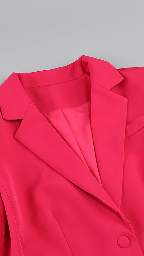 IRMA BLAZERANZÜGE MIT FEDERBESATZ IN ROSENROT