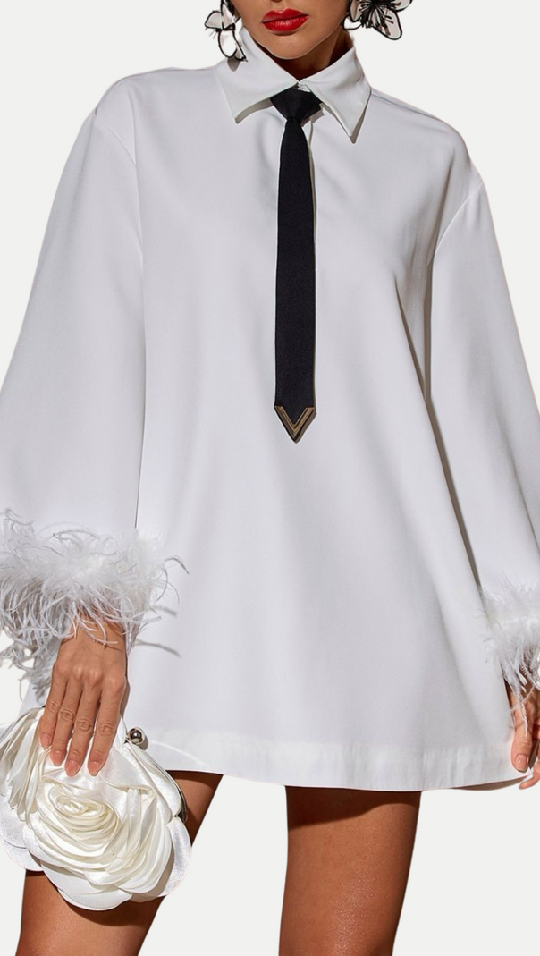AIIZIE FINIA FEATHER-TRIMMED MINI SHIRT DRESS WITH TIE - product image