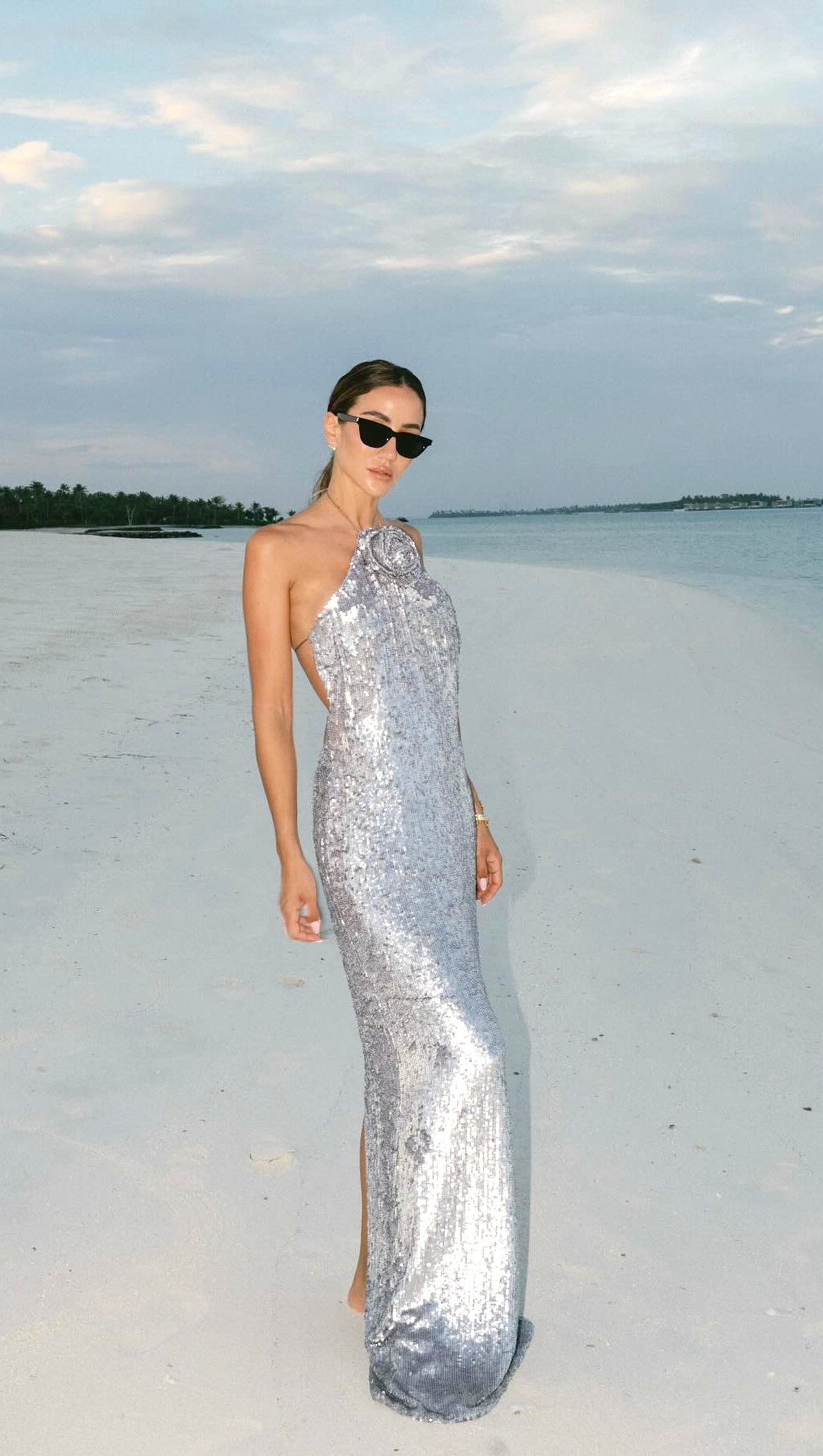 AIIZIE WINIFRED FLORAL-APPLIQUÉ SEQUIN MAXI DRESS SILVER - product image