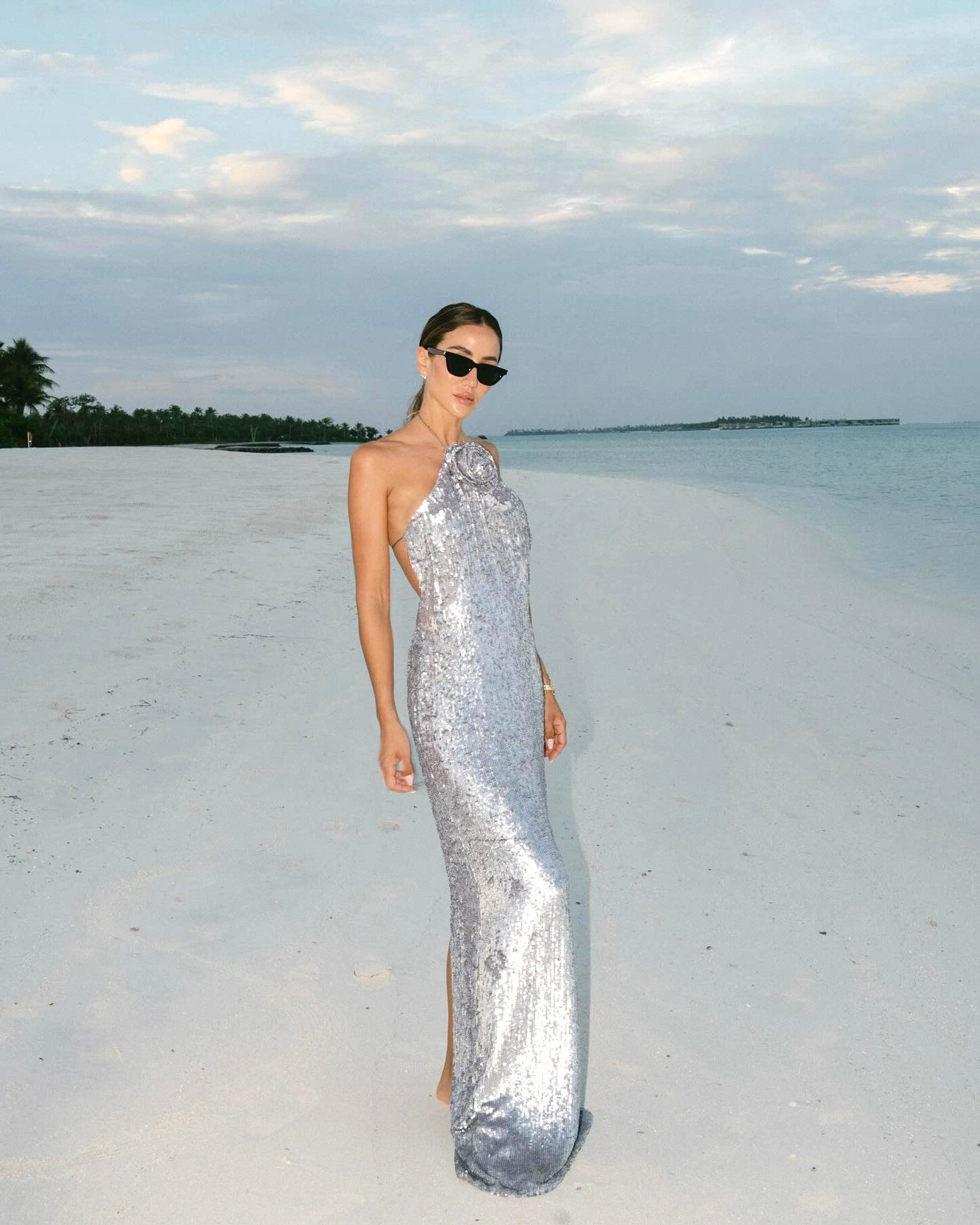 WINIFRED FLORAL-APPLIQUÉ SEQUIN MAXI DRESS SILVER