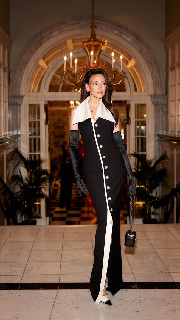 AIIZIE HALTER COLLAR MAXI DRESS BLACK WHITE - product image