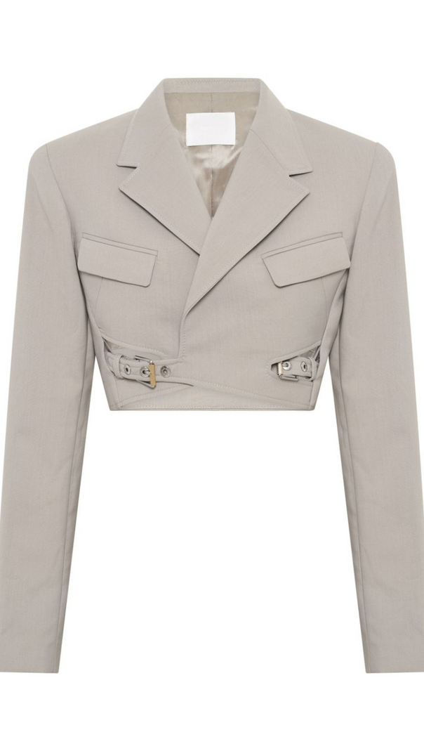 AIIZIE JAYLA CROPPED CUTOUT BLAZER IN GREY - product image