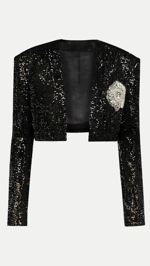 AIIZIE SEQUIN CROPPED BLAZER IN SILVER - product image