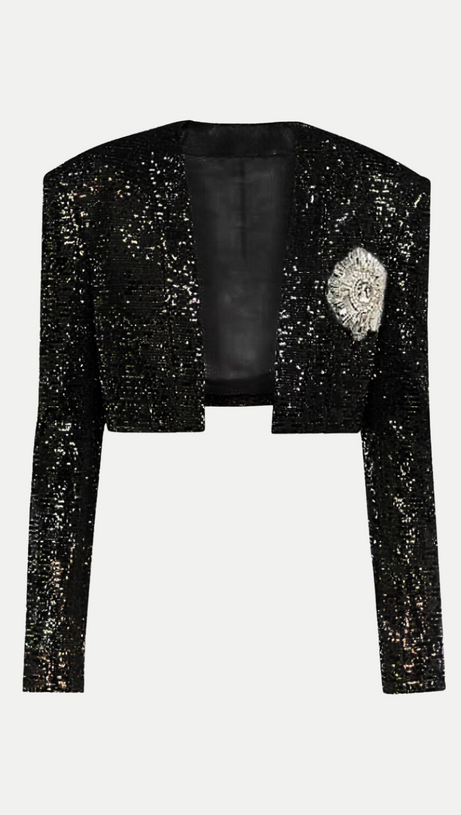 SEQUIN CROPPED BLAZER IN SILVER
