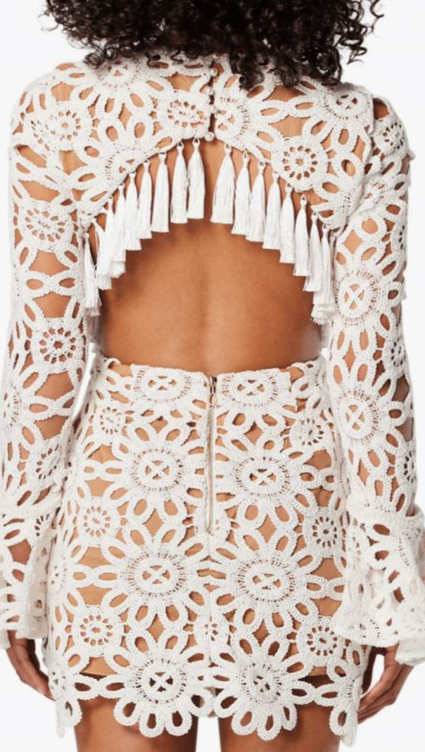 AIIZIE EMBROIDERED HOLLOW MINI DRESS IN WHITE - product image