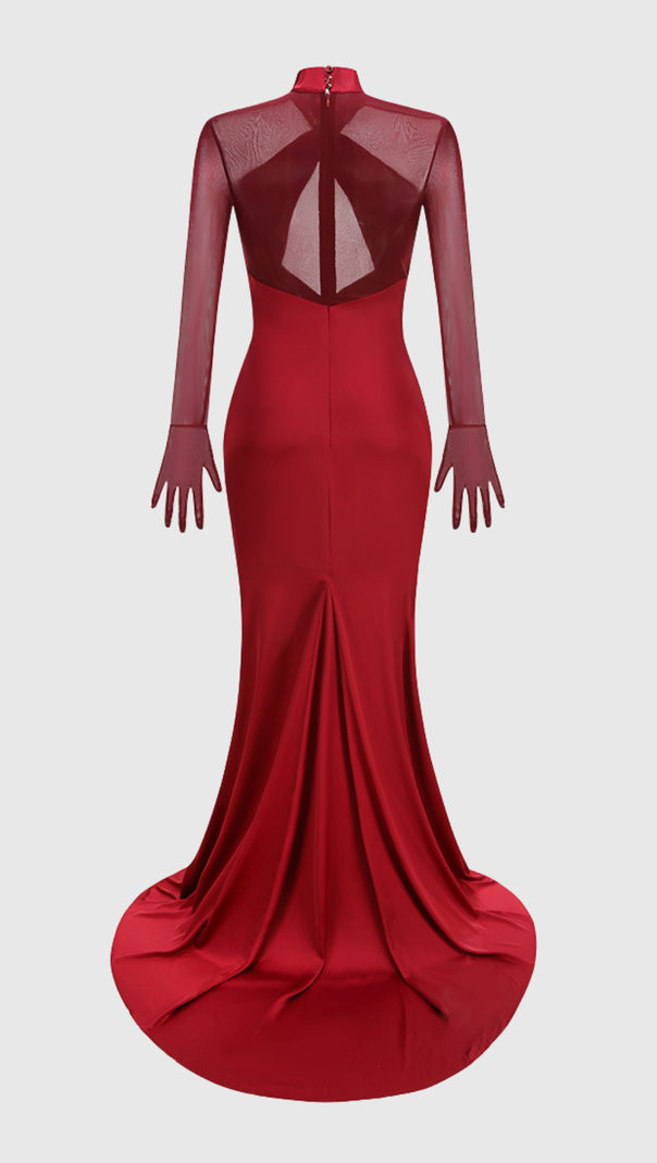 AIIZIE Lorere Mesh Satin Long Sleeve Maxi Dress - product image