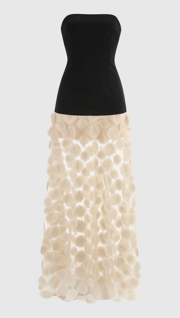 AIIZIE NODIN STRAPLESS DOT MESH MAXI DRESS - product image