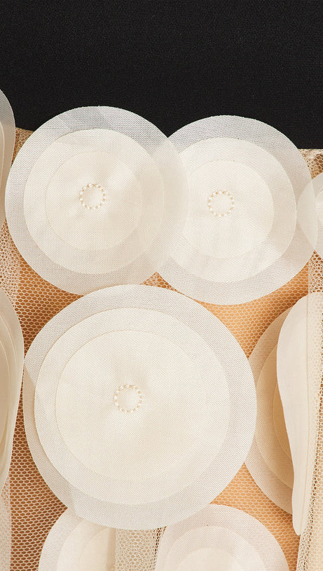 NODIN STRAPLESS DOT MESH MAXI DRESS