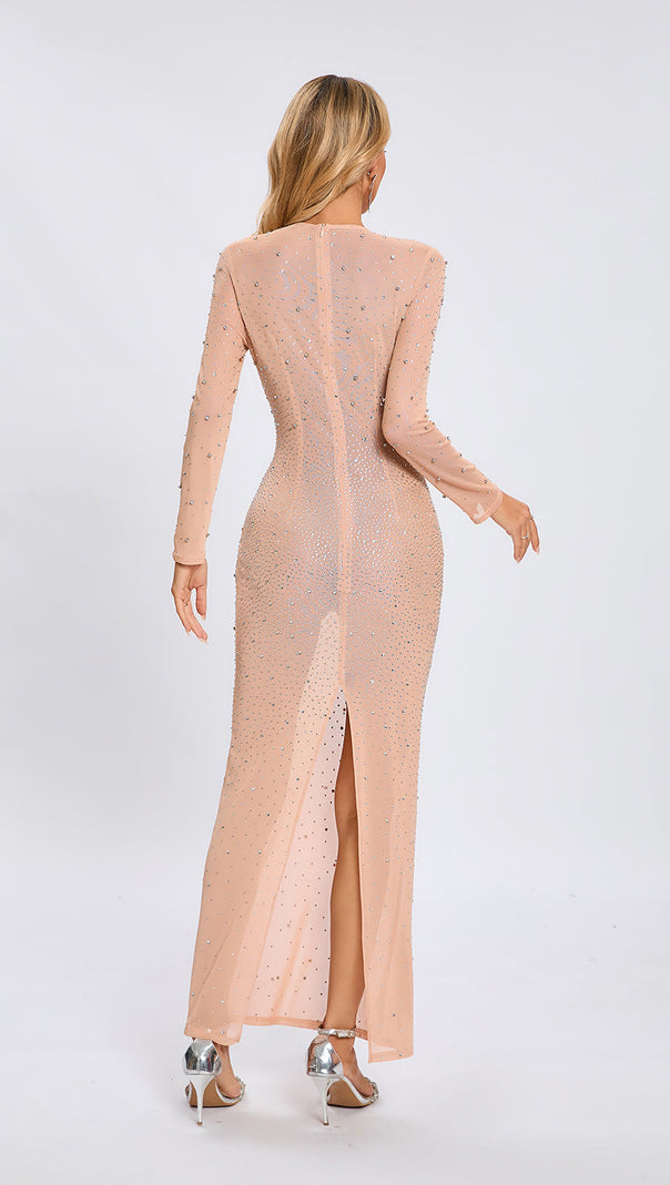 AIIZIE NUDE CRYSTAL EMBELLISHED TRANSPARENT GOWN - product image