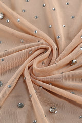 Nude Crystal Embellished Transparent Gown