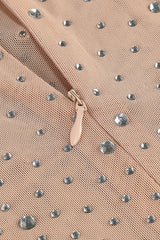 Nude Crystal Embellished Transparent Gown