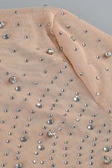 Nude Crystal Embellished Transparent Gown