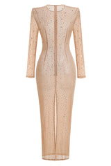 Nude Crystal Embellished Transparent Gown