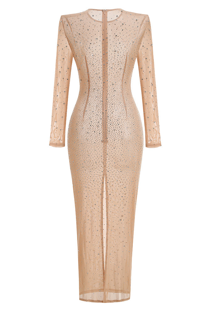 Nude Crystal Embellished Transparent Gown