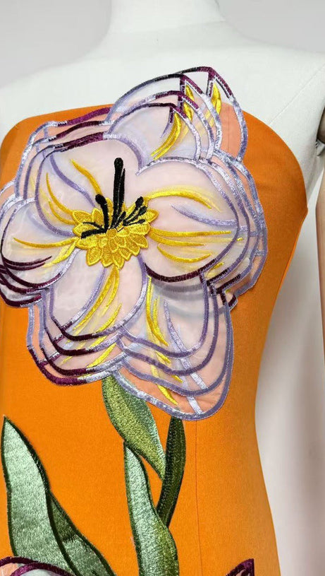 SUZANNE APPLIQUÉ FLORAL BUSTIER MAXI DRESS IN ORANGE