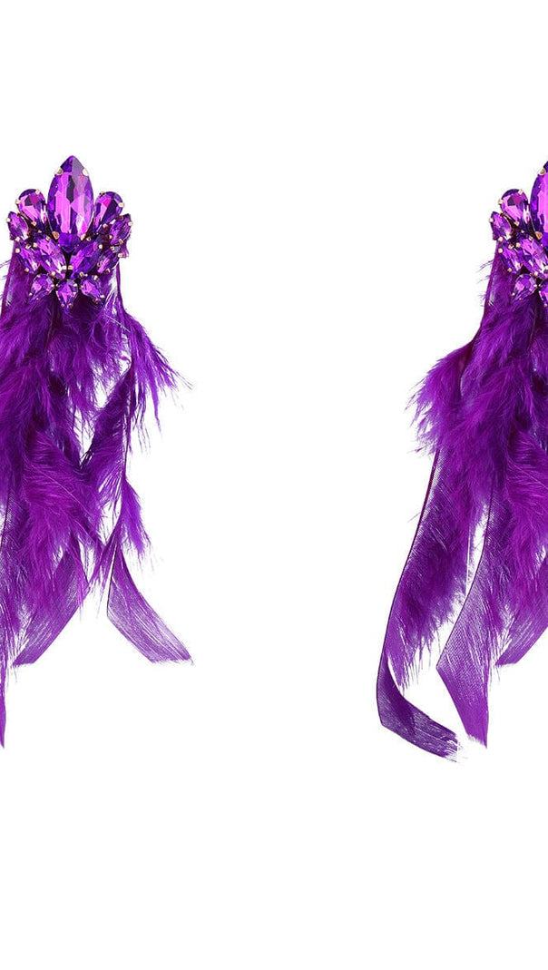 AIIZIE RHINESTONE FEATHER EARRINGS - product image