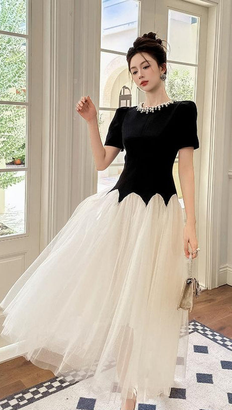 leona black-white Two-Tone rhinestone neck tulle maxi Dress