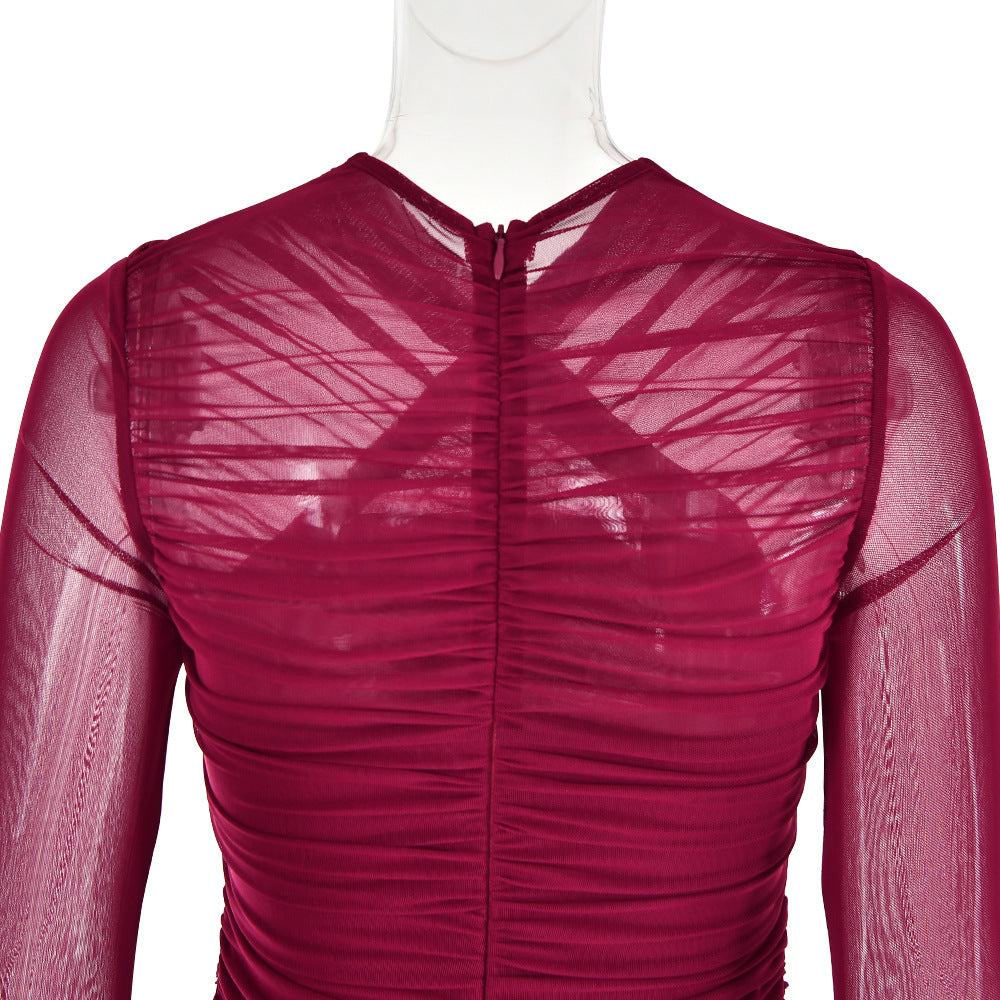 AIIZIE LONG SLEEVE RUCHED MESH DRESS IN WINE - product image