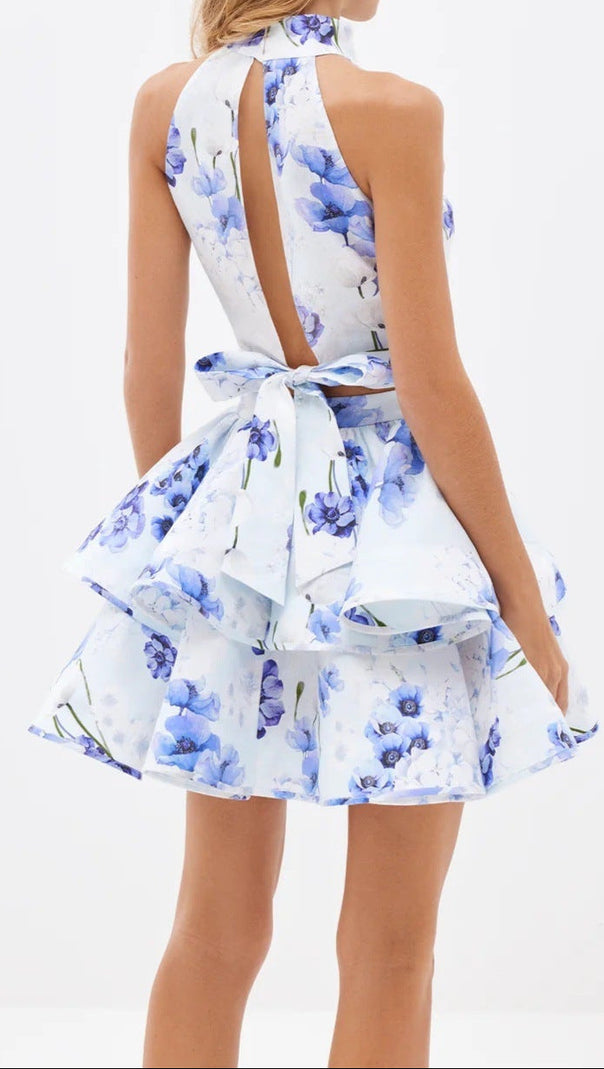 AIIZIE JESSICA PRINTED BACKLESS HALTER TOP SKIRT SET IN BLUE - product image