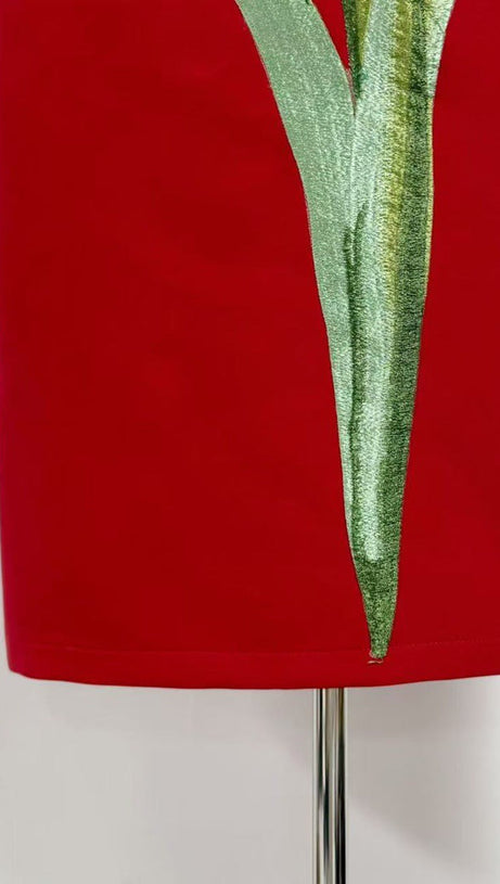 SUZANNE APPLIQUÉ FLORAL BUSTIER MAXI DRESS IN RED