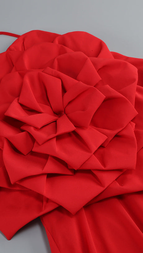 WINIFRED 3D FLOWER STRAP MAXI DRESS IN RED