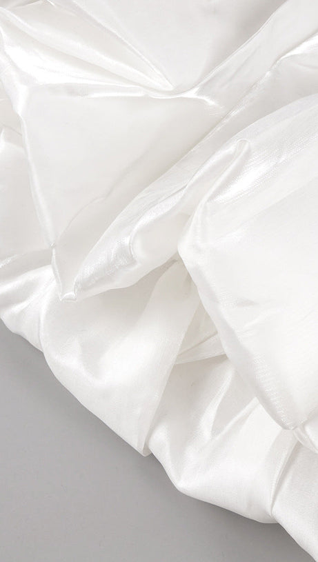 BUTTERFLY EMBROIDERED BODICE PUFFBALL MINI DRESS IN BLACK