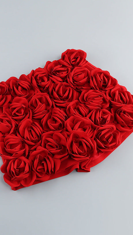 3D FLOWER  EMBELLISHED SKIRT IN RED