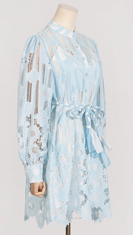 JETSETTER HOLLOW LONG SLEEVE MINI DRESS IN BLUE