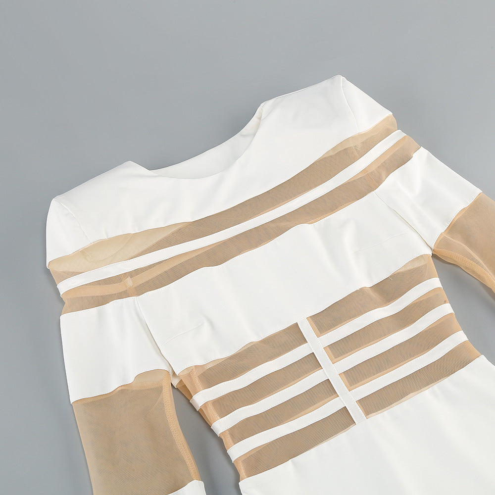 AIIZIE WHITE MESH - PANELED LONG - SLEEVE BODYCON MIDI DRESS - product image