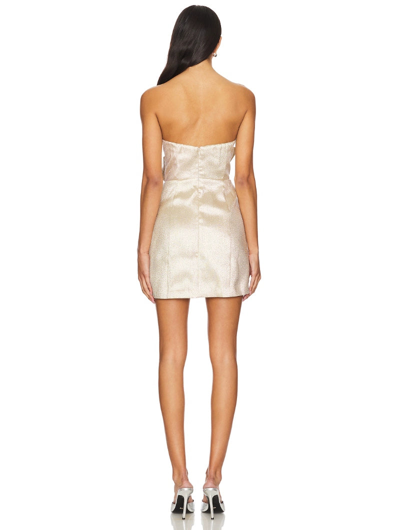 AIIZIE BOWKNOT PATCHWORK STRAPLESS MINI DRESS IN CHAMPAGNE - product image