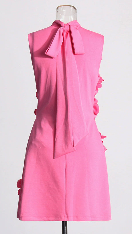 CANDICE FLORAL APPLIQUÉ MINI DRESS IN PINK