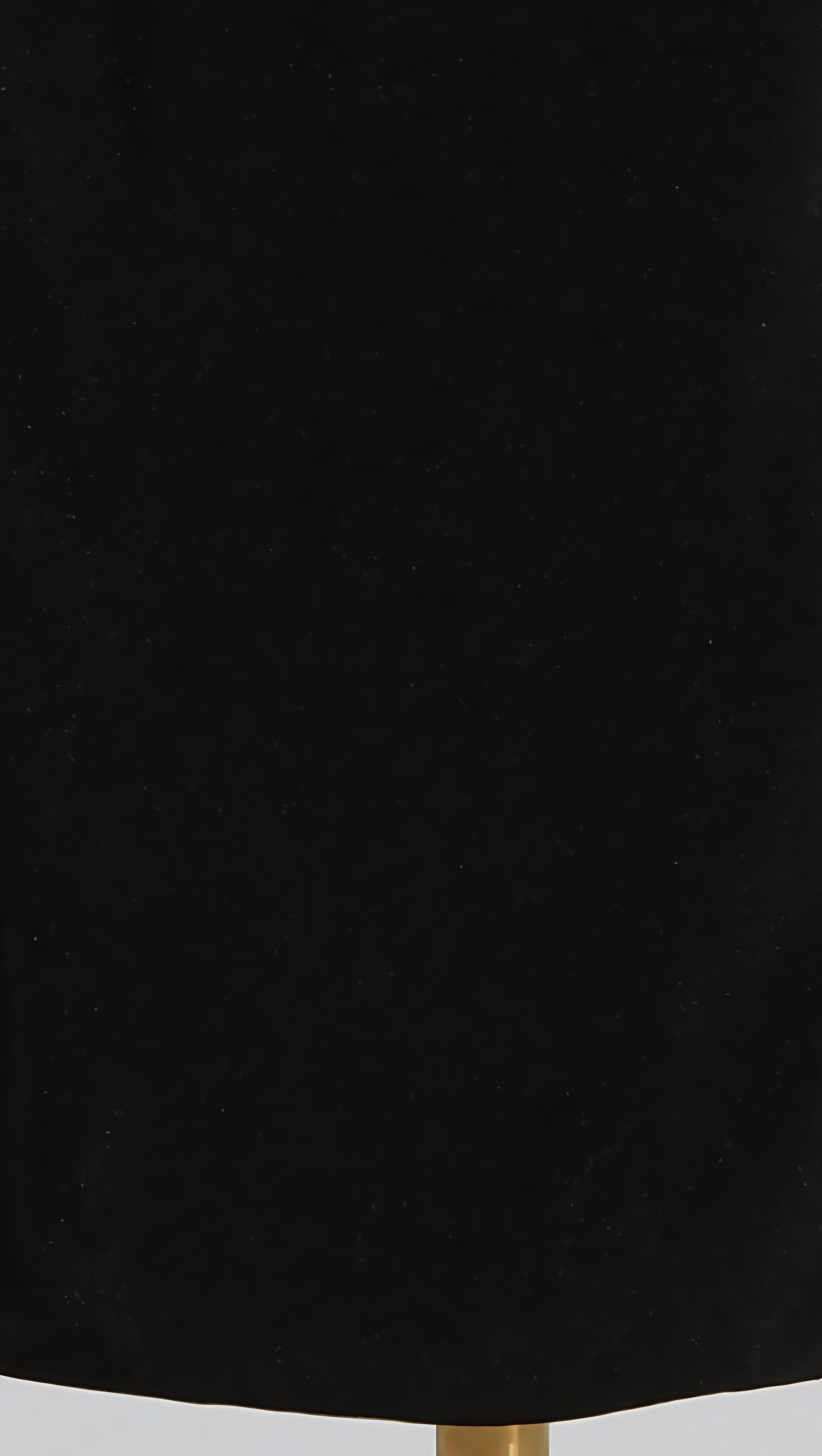 ABITO MIDI CON CAPPUCCIO E FIORI 3D IN METALLO TAMMY NERO