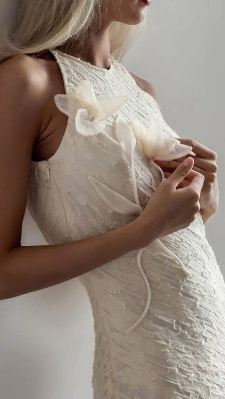 TRACY FLORAL APPLIQUE SLEEVELESS MIDI DRESS IN BEIGE