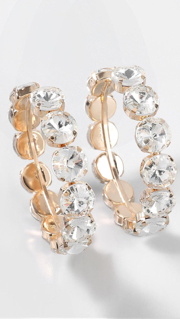 AIIZIE TERRA DIAMANTE HOOP EARRINGS - product image