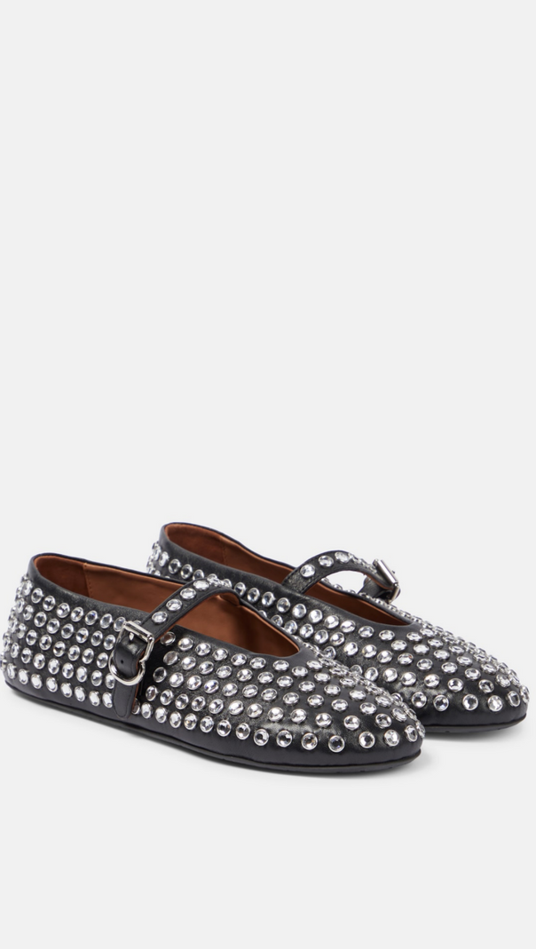 AIIZIE VIOLETA RHINESTONE FISHNET BALLET FLATS - product image