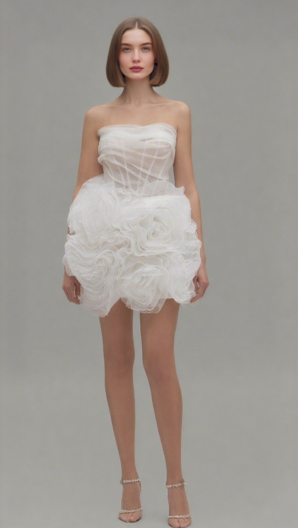 AIIZIE GEORGIA APPLIQUÉD ORGANZA WHITE MINI DRESS - product image
