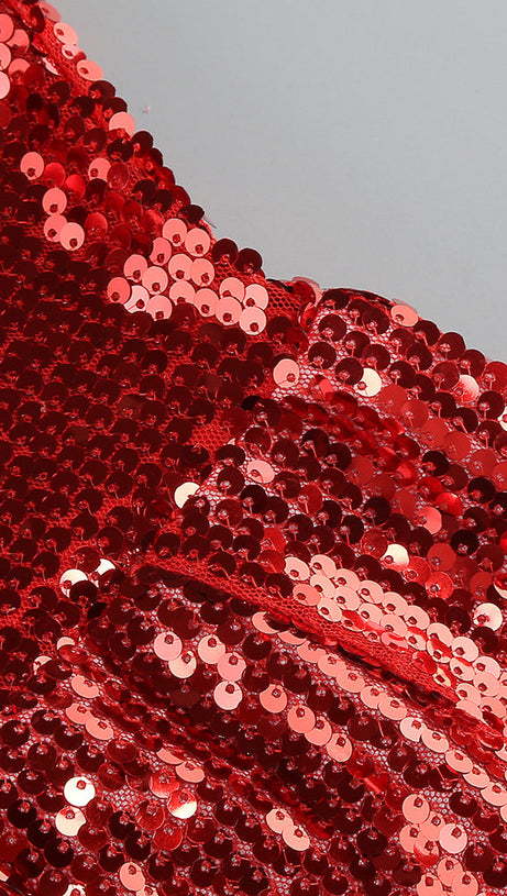 BERNICE DARK RED SEQUIN CORSAGE BANDEAU MINI DRESS