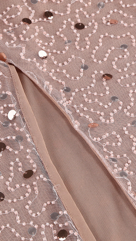 CRYSTAL LEAF EMBELLISHED SEQUIN MAXI DRESS IN PALE BROWN