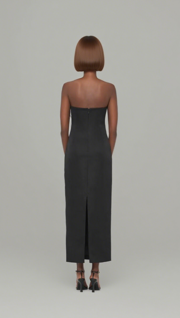 AIIZIE SUZANNE APPLIQUÉ FLORAL BUSTIER MAXI DRESS IN BLACK - product image