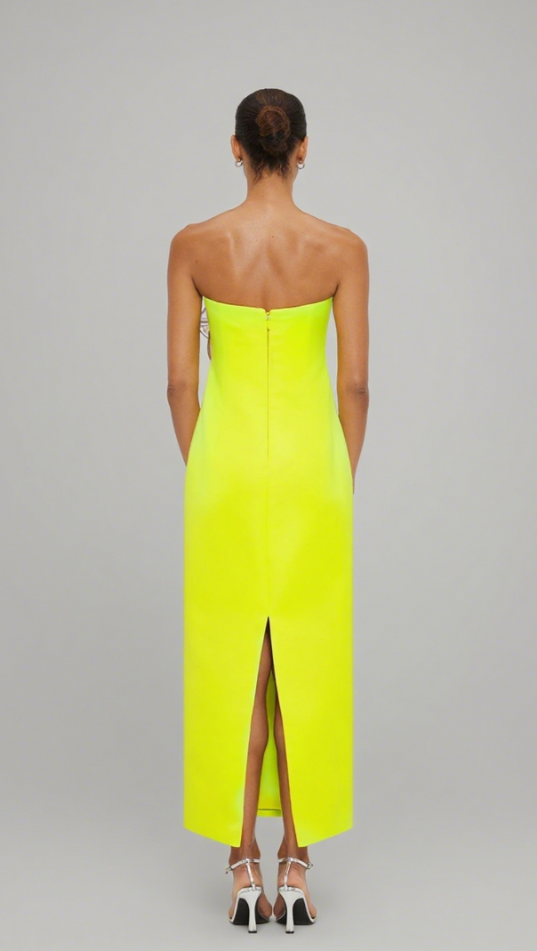 AIIZIE SUZANNE APPLIQUÉ FLORAL BUSTIER MAXI DRESS IN YELLOW - product image