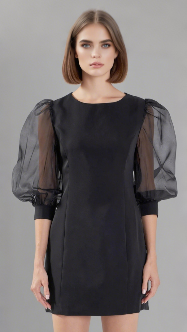 AIIZIE VICTORIA ORGANZA PUFF SLEEVES MINI DRESS IN BLACK - product image
