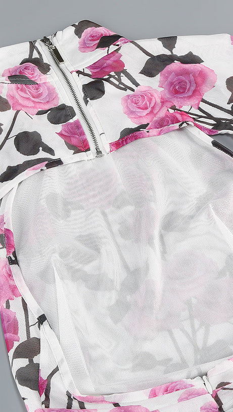 BRISA ROSE RUCHED LONG SLEEVE MINI DRESS