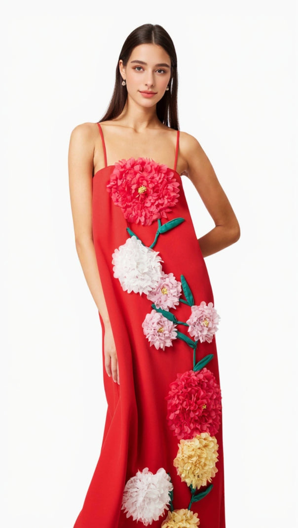 AIIZIE JUDY BUTTERCUP EMBROIDERED MAXI DRESS IN RED - product image