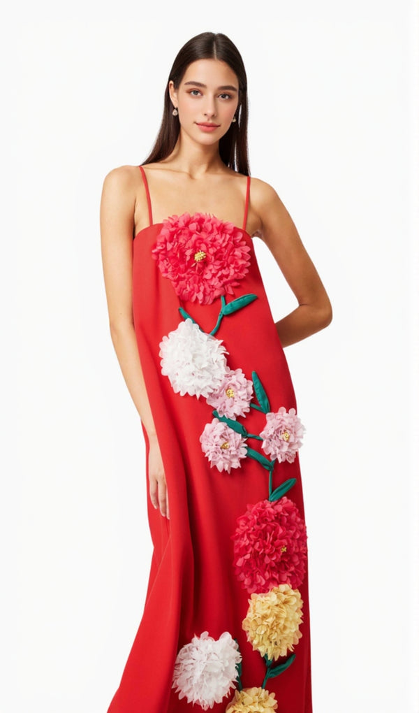 judy Buttercup Embroidered Maxi Dress In Red