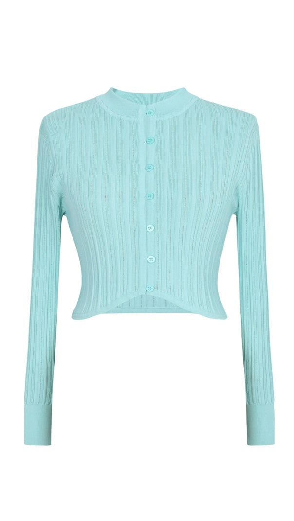 AIIZIE ARCHETYPES RIBBED POINTELLE-KNIT SWEATERS IN GREEN - product image