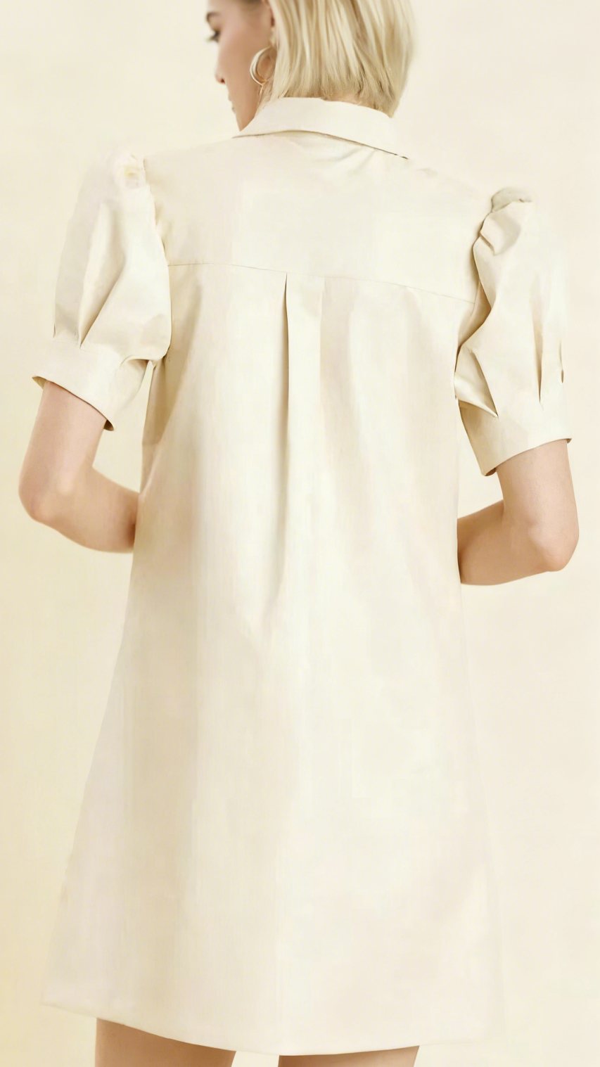 AIIZIE WHITE LAPEL COLLAR LEATHER PUFF SLEEVES MINI DRESS - product image