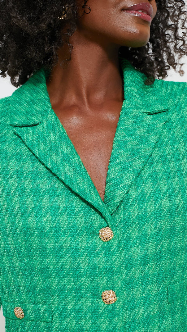 AIIZIE EMERALD TWEED STACIE DRESS - product image