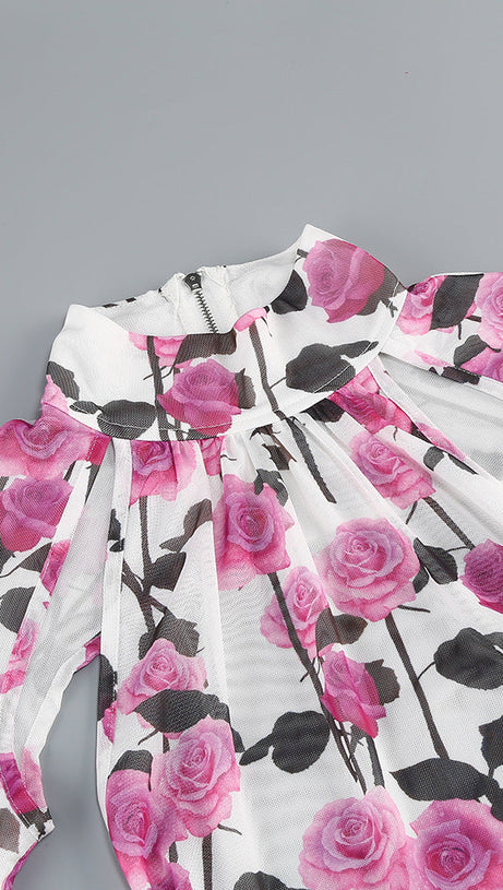 BRISA ROSE RUCHED LONG SLEEVE MINI DRESS