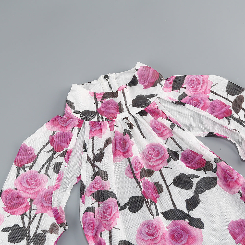 AIIZIE BRISA ROSE RUCHED LONG SLEEVE MINI DRESS - product image