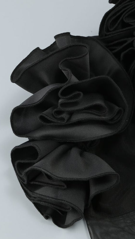 AMITY LONG SLEEVE TULLE FLORAL BARDOT DRESS IN BLACK